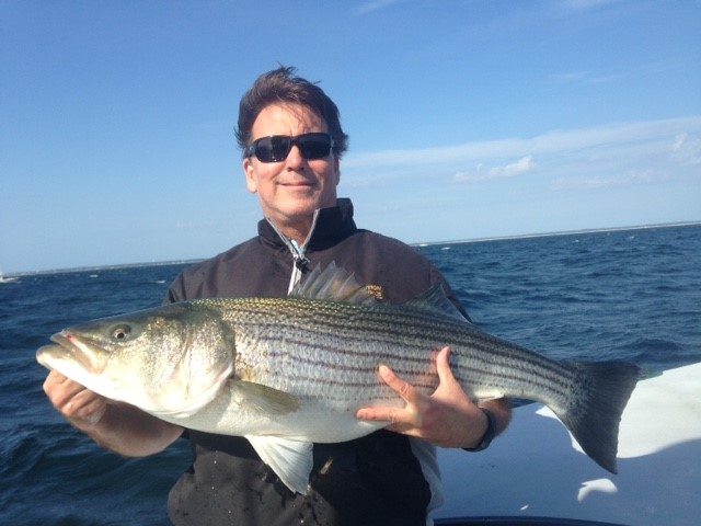 Early Season Striper 33’ Grady White In Chatham