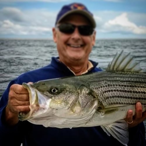 Early Season Striper 33’ Grady White In Chatham