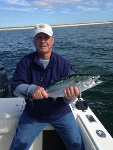 Midsummer-Fall Cape Cod Flyfishing In Chatham