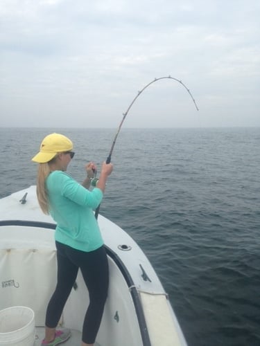 Early Season Striper 33’ Grady White In Chatham