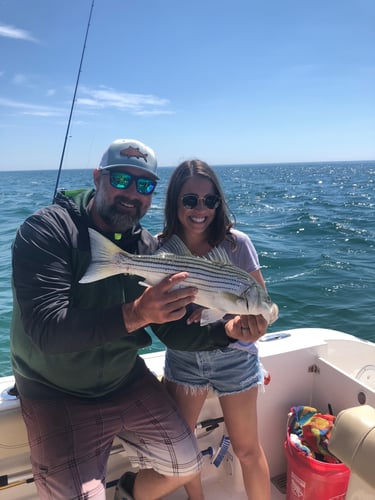 Early Season Striper 33’ Grady White In Chatham