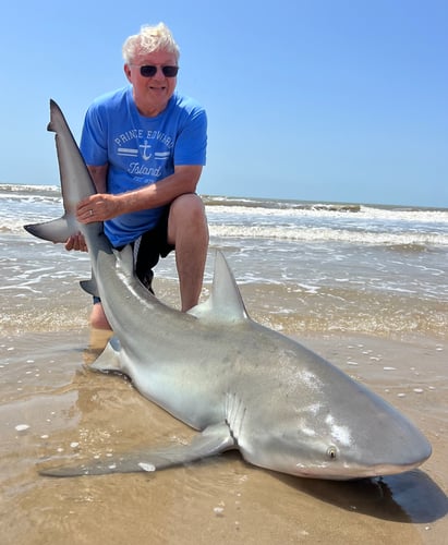 Beach Shark Fishing In Bolivar Peninsula