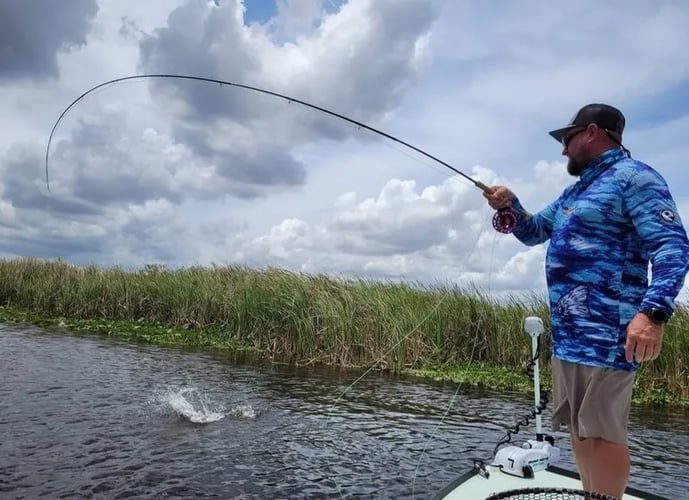 Peacock Bass Fishing: Fly Fishing/ Spin Fishing In Fort Lauderdale