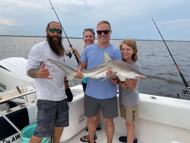 Quick Trips! Kid Friendly In Pensacola