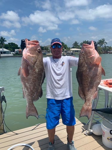 6hr Grouper-snapper 🔥VOTED BEST OF FLORIDA 2022 And 2023🔥 In Bay Pines