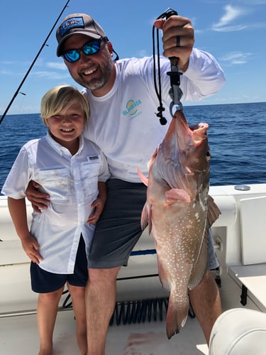 6hr Grouper-snapper 🔥VOTED BEST OF FLORIDA 2022 And 2023🔥 In Bay Pines