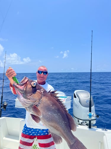 8 Hr Offshore Grouper🔥VOTED BEST OF FLORIDA 2022 And 2023🔥 In Madeira Beach