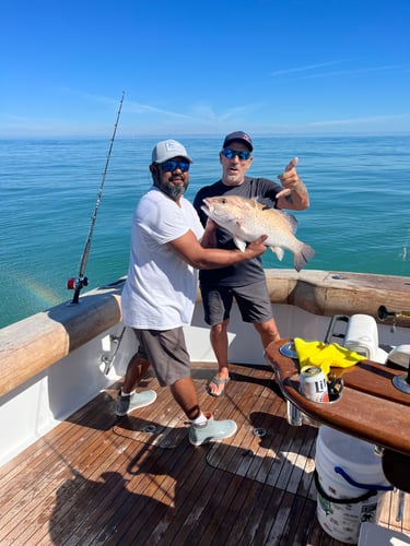 Classic Half Day Offshore Trip In Port Isabel