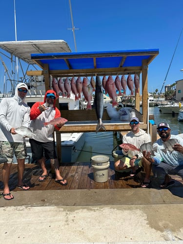 Classic Half Day Offshore Trip In Port Isabel