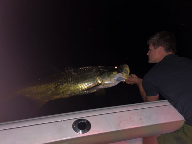 Gnarly Night Fishing Trips In Fort Myers