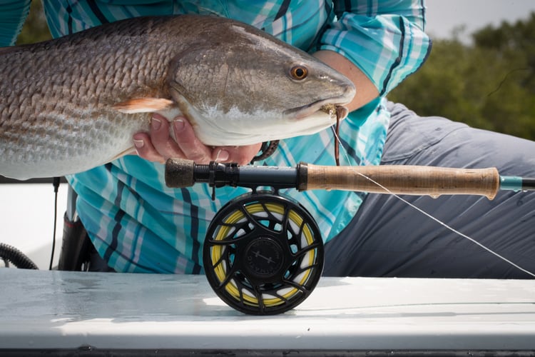 Flyfishing & Light Tackle For Redfish & Snook In Homosassa