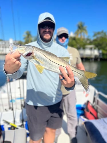 Sarasota's #1 Inshore Fishing Charter In Sarasota