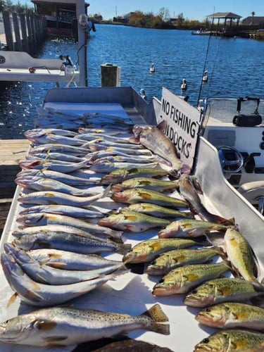 New Orleans Area Fishing Trip In Slidell