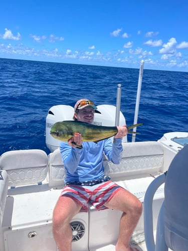 1/2 Day Fishing 4 Hour (Discounted Weekday) In Fort Myers Beach
