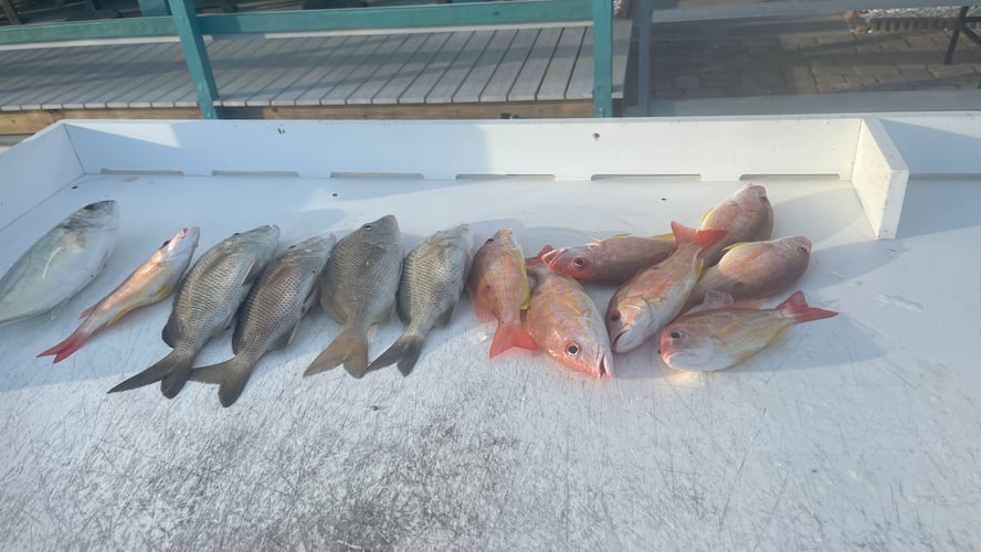 1/2 Day Fishing - 4 Hour (Discounted Weekday) In Fort Myers Beach