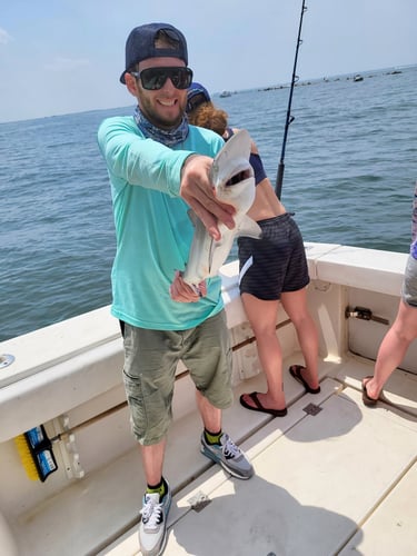 Jetty Fishing Frisky2 In Galveston