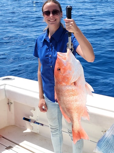 Deep Sea Fishing Excursion (8 Or 12 Hour) In Galveston
