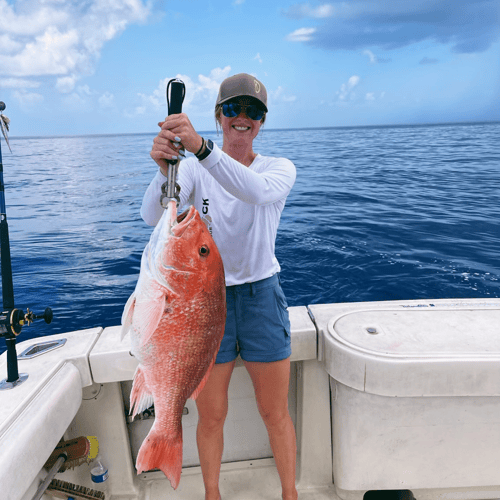 Deep Sea Fishing Excursion (8 Or 12 Hour) In Galveston