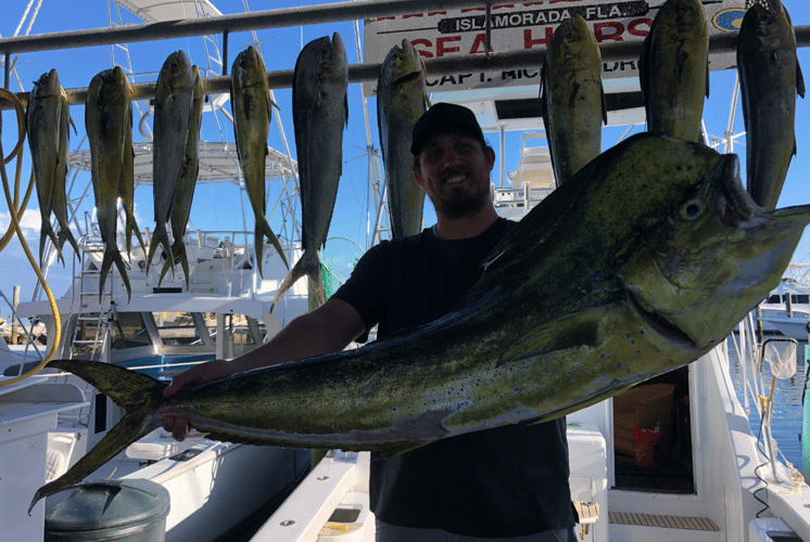 BEST! Sport Fishing Trips In Islamorada, Whale Harbor In Islamorada
