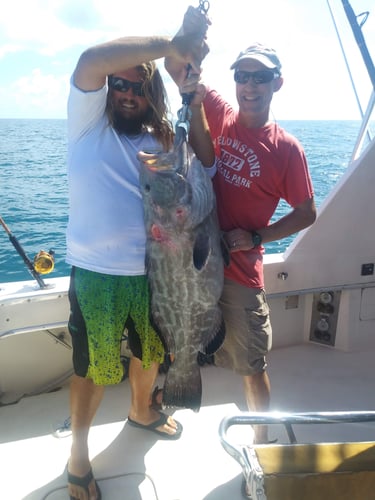 Reef Fishing In Key West