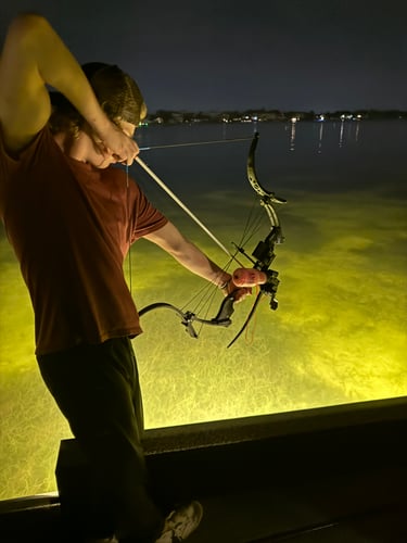 Tampa Bowfishing In Tampa