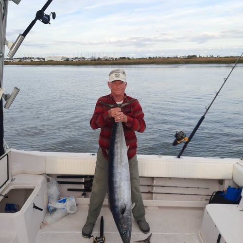 Private Charter-Bottom Fishing Or Gulf Stream Trolling In St. Augustine