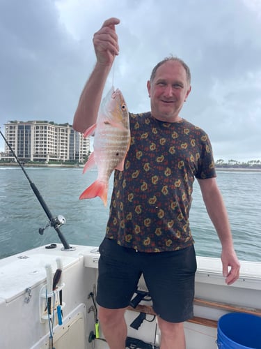 Inshore Fishing In Miami Beach