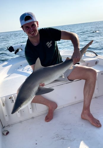 Shark Fishing In Daytona Beach