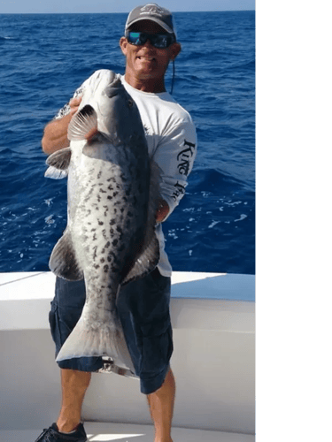 Extreme Offshore Charter In Clearwater