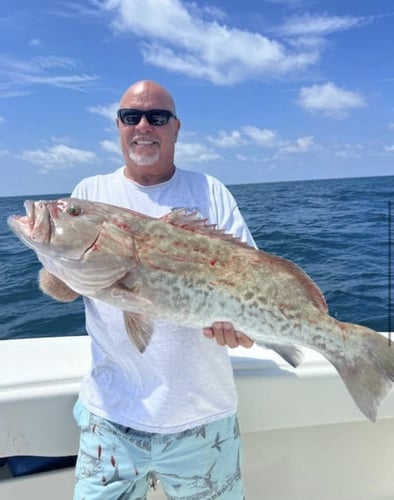 Full Day 8 Hour Offshore Experience In Clearwater