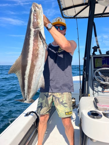 Summer Time Offshore Fishing In Jacksonville