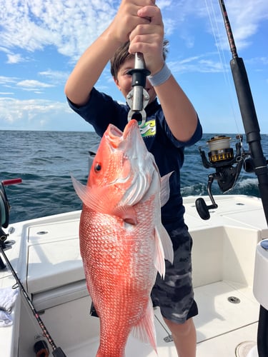Summer Time Offshore Fishing In Jacksonville