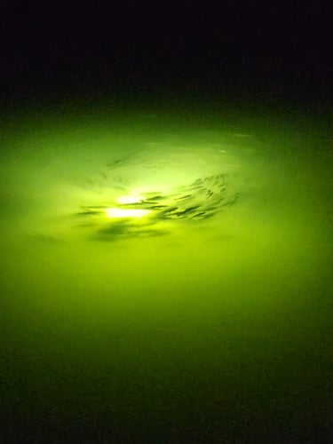 Night Time Green Light Fishing 4 Hour In Corpus Christi