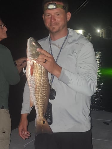 Night Time Green Light Fishing 4 Hour In Corpus Christi