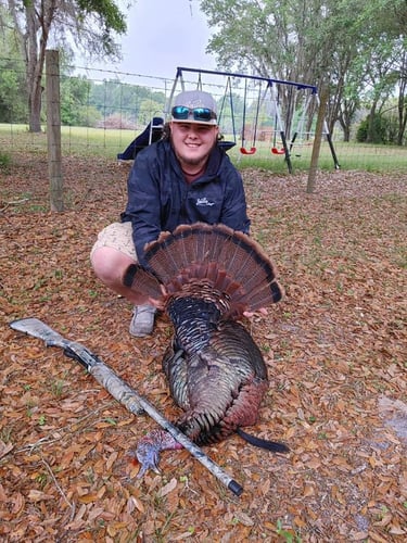 Osceola 2 Turkey Whack In Lake Panasoffkee