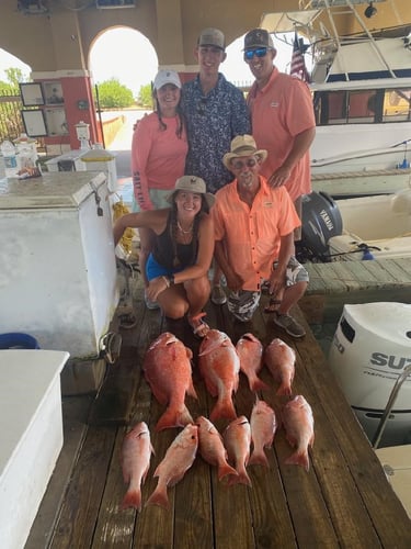 5 To 6 Hr Sow Snapper PM 31 Ft Contender In Freeport