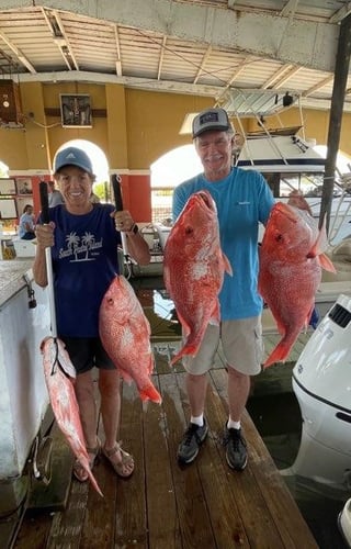 5 To 6 Hr Sow Snapper PM 31 Ft Contender In Freeport