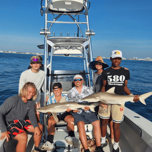 Shark Fishing Adventure In New Smyrna Beach