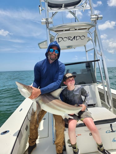 Shark Fishing Adventure In New Smyrna Beach
