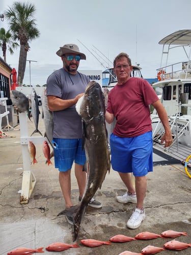 Deep Sea Fishing - 52' Guthrie Sportfisher In Panama City
