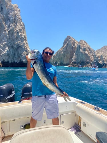 6 Hour - 30 Ft CC In Cabo San Lucas