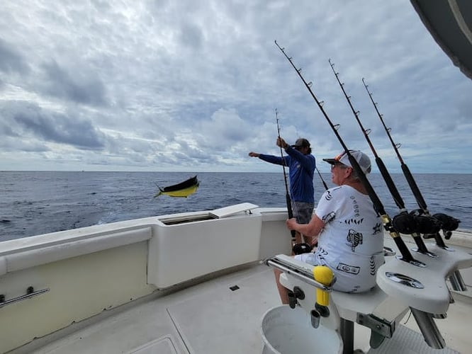 Half Day Deep Sea Fishing Charter (Private) In Key West