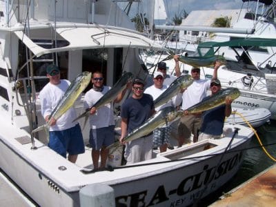 3/4 And Full Day Deep Sea Fishing Charter (Private) In Key West