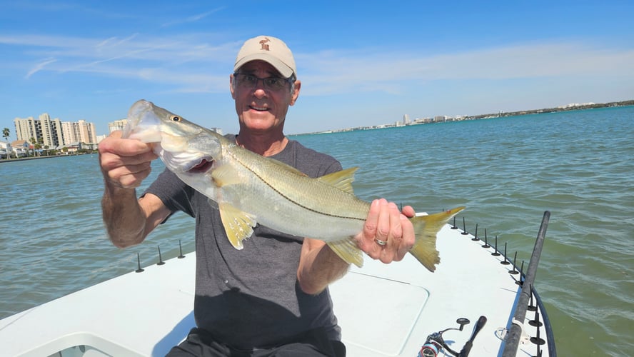 Shallow Water Sightfishing In Clearwater