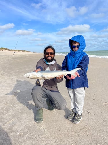 Shark And Surf Fishing Combo In Melbourne Beach