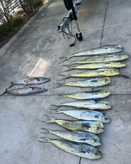 All Day Offshore Fishing In Charleston