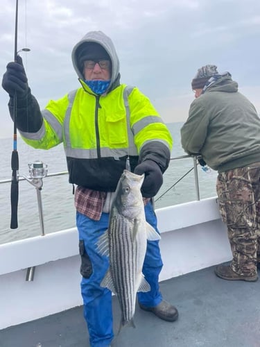 6 Hour Trip- Striped Bass In Highlands