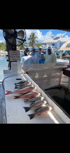 3/4 Day Inshore Trip In Key West