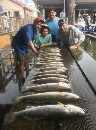 Inshore Special In Houston