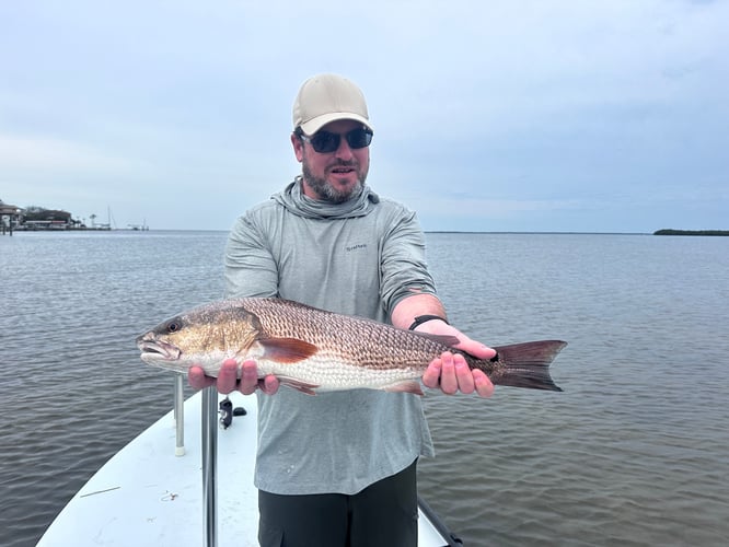 Fly Fishing Charters In Tarpon Springs
